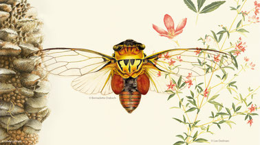 NHI ilustracja